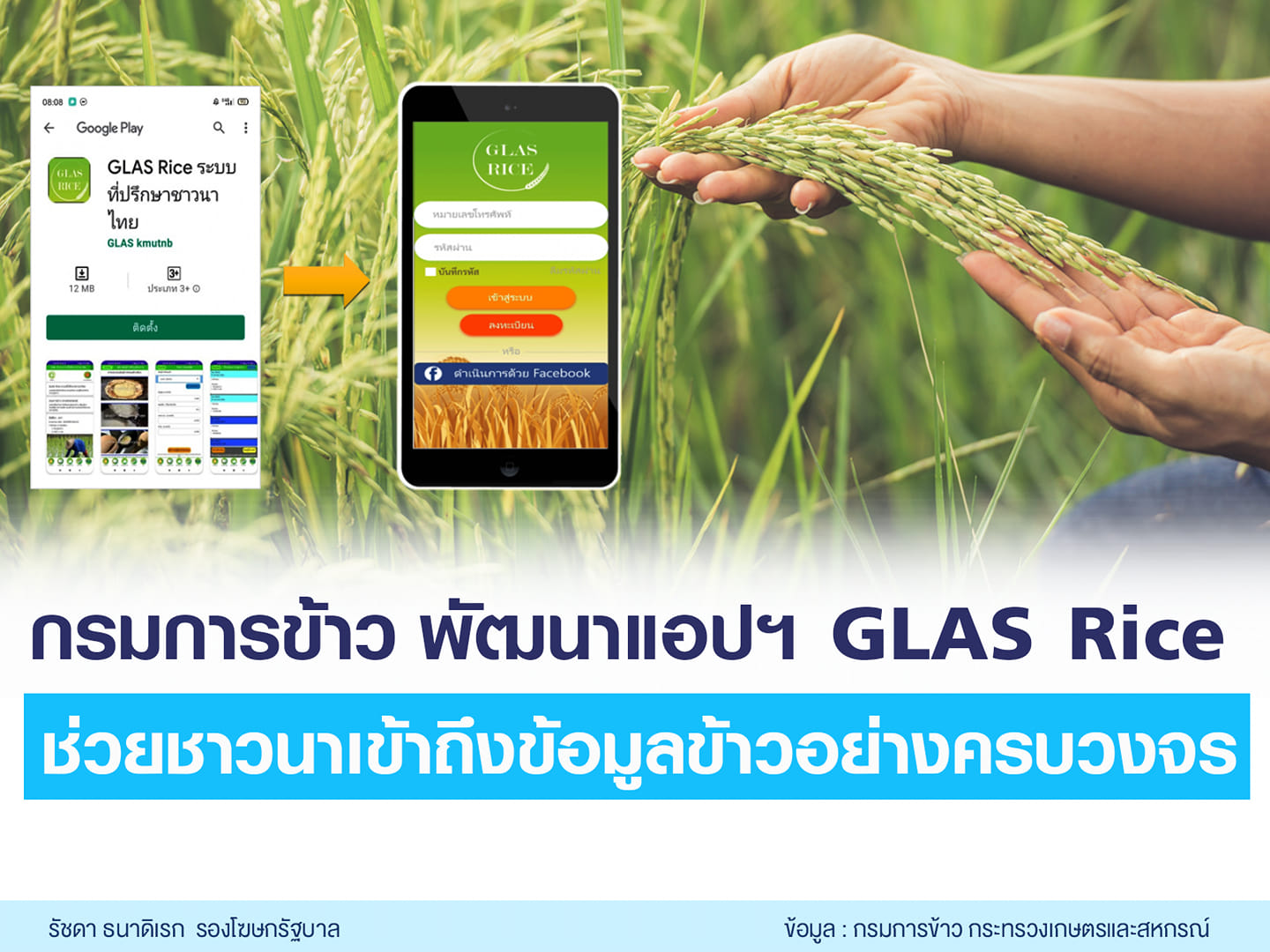 แอป GLAS Rice ระบบที่ปรึกษาชาวนาไทย 